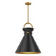 manufacturer_finish:Aged Gold/Matte Black