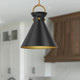 manufacturer_finish:Aged Gold/Matte Black
