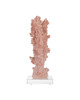 Coral Coral (1200-1083)