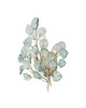 Baobab Three Light Wall Sconce (5000-0290)