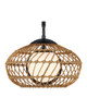 Carriage One Light Wall Sconce (5500-0060)