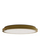 Currey and Company - 9999-0084 - LED Flush Mount - Aydan - Natural/Polished Antique Brass
