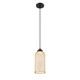 manufacturer_finish:Gold|manufacturer_glass:Cylinder Black Steel