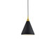 manufacturer_finish:Black With Gold Detail
