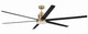 Craftmade - MND80SBFB6-NWF - 80 Ceiling Fan - Mondo 80 Ceiling Fan no Wifi - Satin Brass