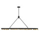 Ashor LED Linear Chandelier (1-1636-8-143)