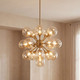 Matisse 16 Light Chandelier (1-7934-16-322)