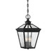 Ellijay Three Light Hanging Lantern (5-146-BK)