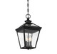 Ellijay Three Light Hanging Lantern (5-146-BK)