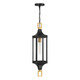 Savoy House - 5-277-144 - One Light Outdoor Hanging Lantern - Glendale - Matte Black and Weathered Brushed Brass