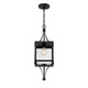 Raeburn One Light Outdoor Hanging Lantern (5-475-144)