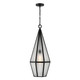 Peninsula One Light Outdoor Hanging Lantern (5-706-BK)