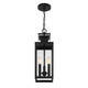 Ascott Three Light Outdoor Hanging Lantern (5-827-BK)