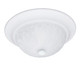 manufacturer_finish:Matte White|light_source:Incandescent