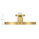 Thayer LED Semi-Flush Mount (6-2969-1-322)