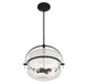 Denmar Four Light Convertible Semi-Flush/Pendant (6-4723-4-89)