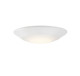 LED Disc Light (6-5CCT-6-WH)