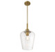 Carlton One Light Pendant (7-3390-1-322)