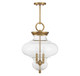 Bergdorf Three Light Pendant (7-5801-3-322)