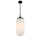 Bryant Three Light Pendant (7-6025-3-89)