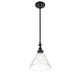 Drake One Light Pendant (7-9132-1-89)