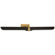 manufacturer_finish:Hand-Rubbed Antique Brass and Black