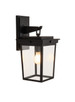 Duncan One Light Outdoor Wall Lantern (ZA7804-TB)