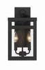 O'Neal Two Light Outdoor Wall Lantern (ZA7904-TB)