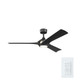Veetra 56" Ceiling Fan (300056-BK)