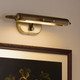 Caillier LED Picture Light (52818LBZ)