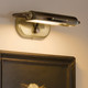 Caillier LED Picture Light (52819LBZ)