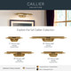 Caillier LED Picture Light (52820LBR)