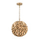 Cora One Light Chandelier (COR-7105-SG)