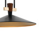 Tenon LED Pendant (52832BKLED)