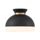 Gidget Two Light Flush Mount (GID-4003-MK-VG)