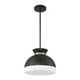 Gidget Two Light Pendant (GID-4015-MK-VG)