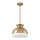 Gidget Two Light Pendant (GID-4015-VG)