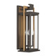 Lendel Four Light Outdoor Wall Sconce (LDL-904-TZ-TG)