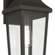 Cleary One Light Outdoor Wall Mount (59194OZ)
