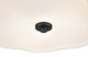 manufacturer_finish:Black