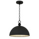 Braylon Four Light Pendant (BRAY1814MBK)