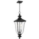 Farley Three Light Outdoor Hanging Lantern (FARL1910MBK)