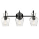 Hollis Three Light Vanity (HLL8622MBK)