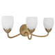 Jacobs Three Light Vanity (JACO8624BGD)
