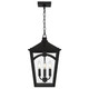 Jaxon Four Light Outdoor Hanging Lantern (JAX1910WT)