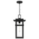 Morgan One Light Outdoor Hanging Lantern (MORG1910EK)