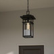 Morgan One Light Outdoor Hanging Lantern (MORG1910EK)