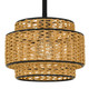 Teton One Light Mini Pendant (TET1510MBK)