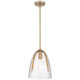 Whitmore One Light Mini Pendant (WHIT1510BGD)