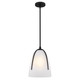 Whitmore One Light Mini Pendant (WHIT1510MBK)